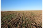 TRACT 3 - REAL ESTATE & MINERAL AUCTION - 640+/- ACRES & PRODUCING MINERALS OFFERED IN 8 TRACTS IN MORTON COUNTY, KANSAS
